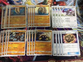 オムスター カブトプス プテラ 化石セット