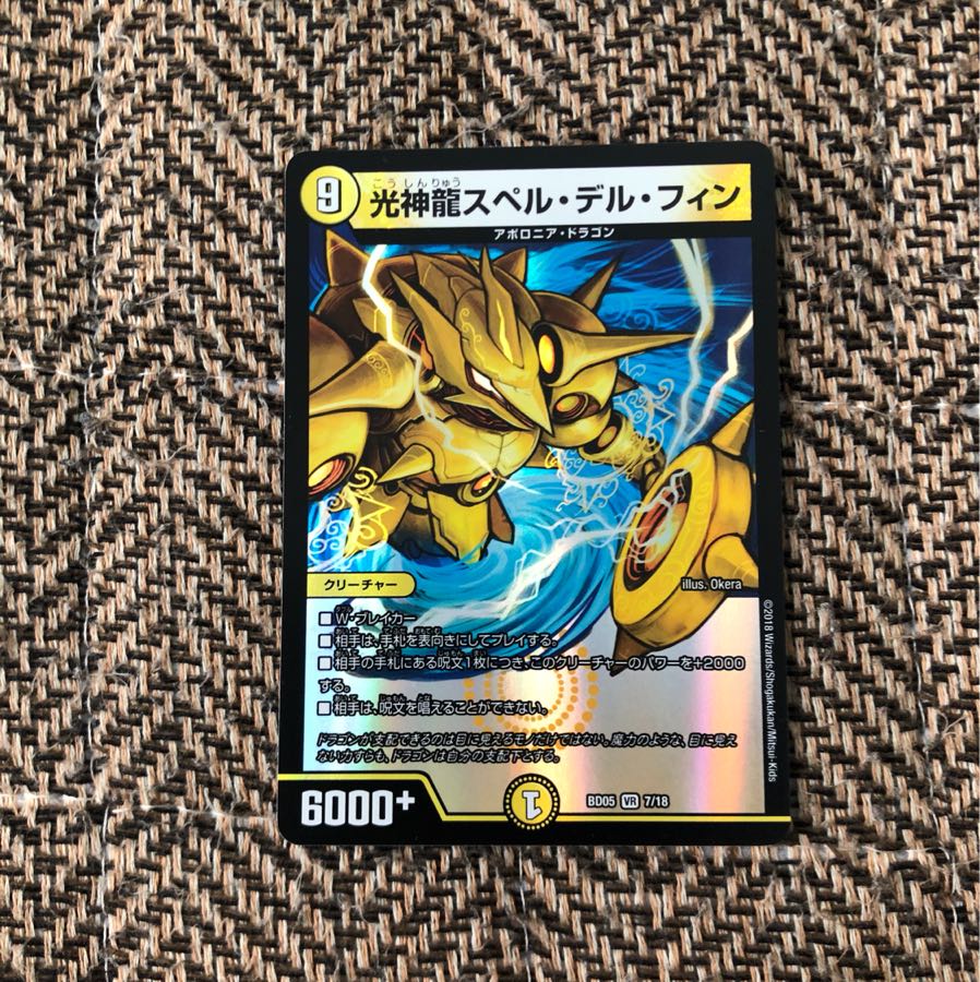 スペルデルフィン