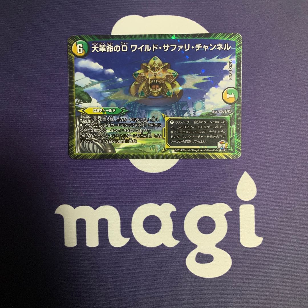 大革命のD ワイルド・サファリ・チャンネル