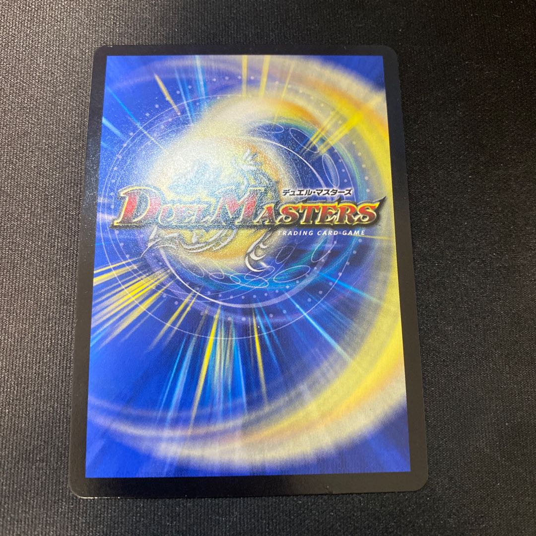 偽りの王ヴィルヘルム 2枚