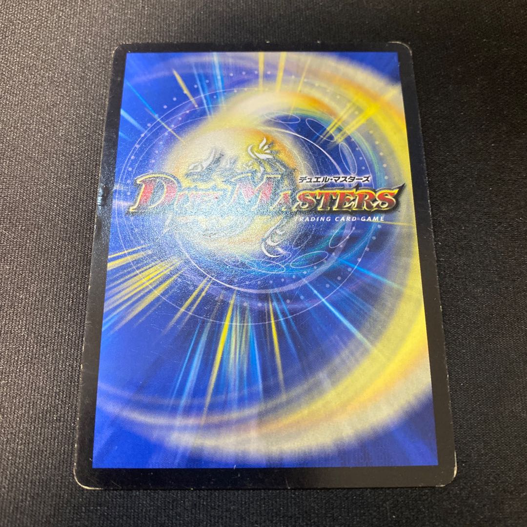 偽りの王ヴィルヘルム 2枚