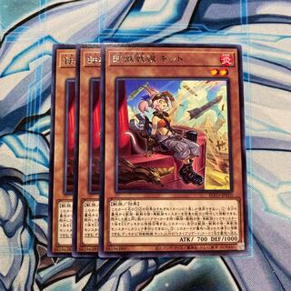 鉄獣戦線キット R