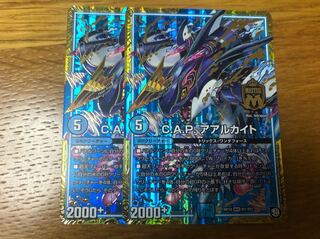 c.a.p.アアルカイト 2枚 2枚