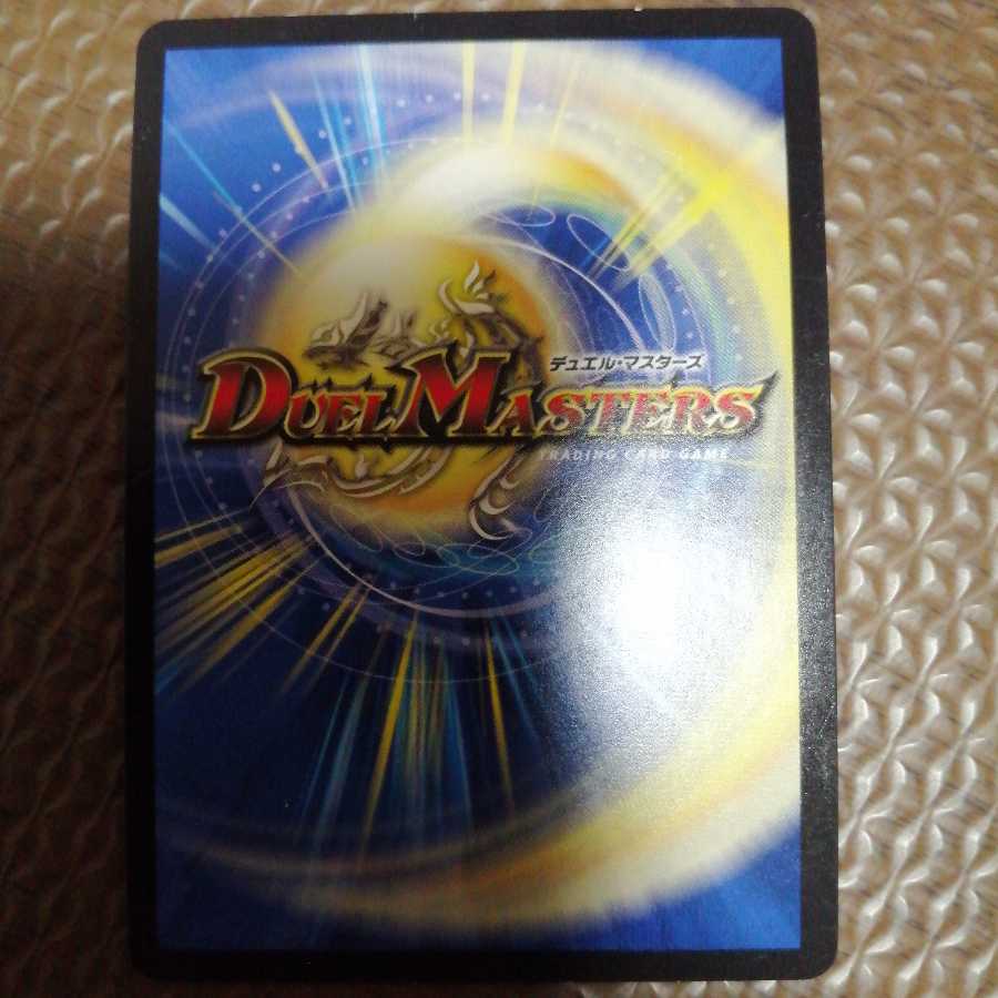 「絶対の楯騎士」