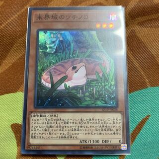 未界域のツチノコ