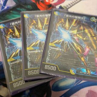 「雷光の聖騎士」