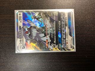 シルヴァディGX×2