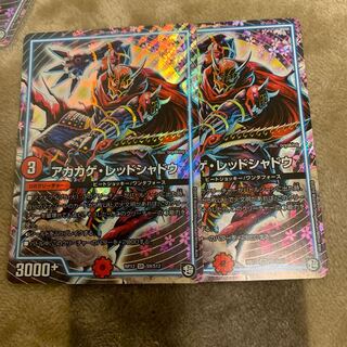 アカカゲ・レッドシャドウ