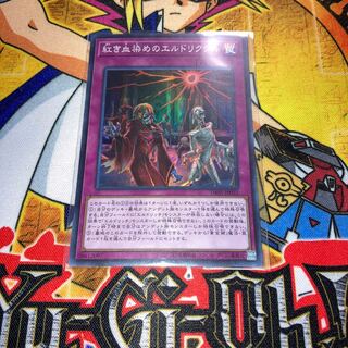 紅き血染めのエルドリクシル