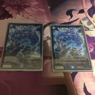 シャコガイル 2枚