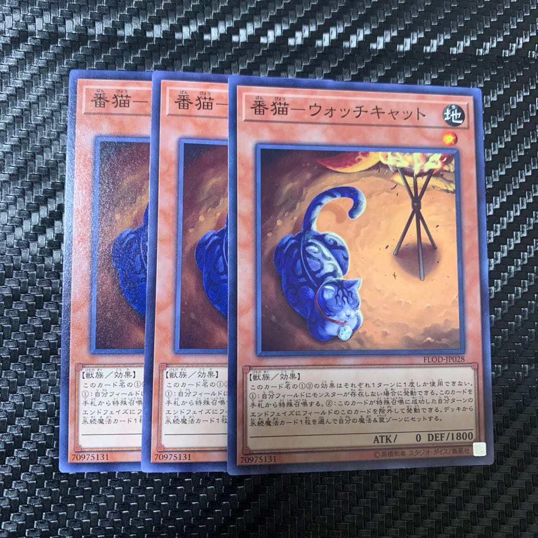 番猫-ウォッチキャット ノーマル