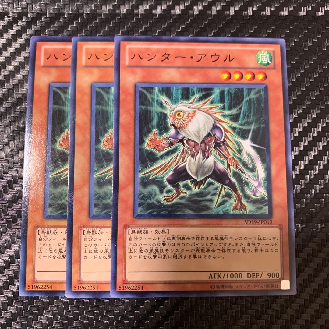 ハンター・アウル ノーマル