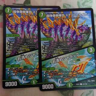 闘争類拳嘩目 ステゴロ・カイザー｜お清めシャラップ