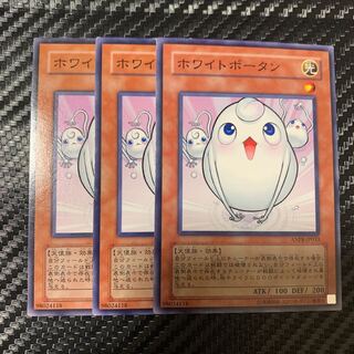 ホワイトポータン ノーマル