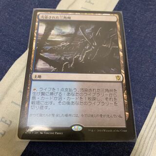 汚染された三角州