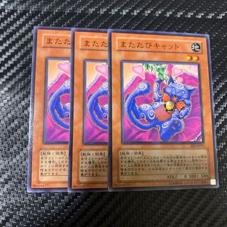 またたびキャット ノーマル