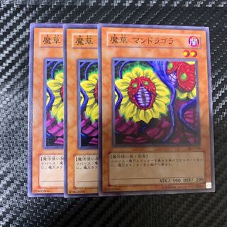 魔草 マンドラゴラ ノーマル