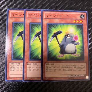 マイン・モール ノーマル