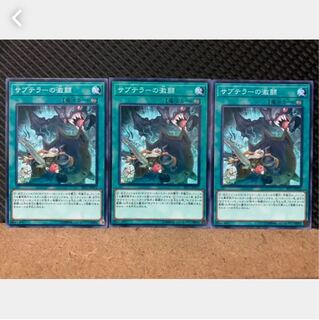 【ぽぽたん】遊戯王 4804 サブテラーの激闘 3枚 ノーマル