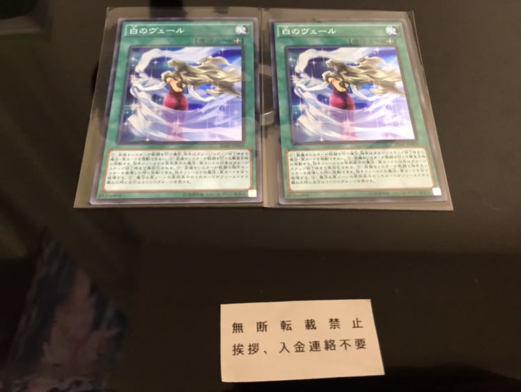 白のヴェール スーパー 2枚