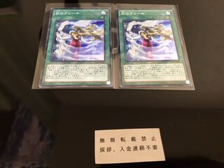 白のヴェール スーパー ２枚