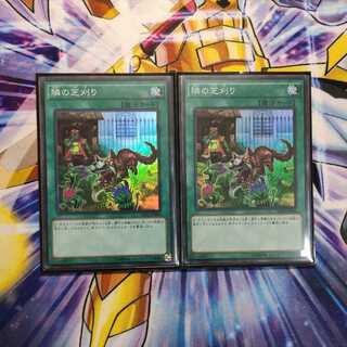 隣の芝刈り スーパーレア