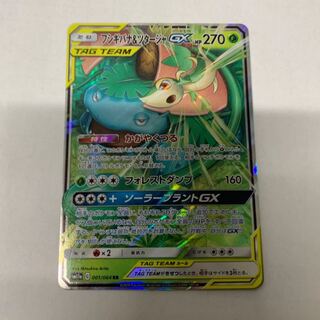 フシギバナ&ツタージャGX