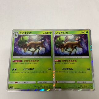 メブキジカR2枚セット