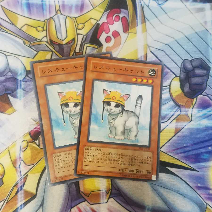 レスキューキャット ノーマル