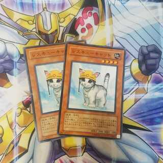 レスキューキャット ノーマル