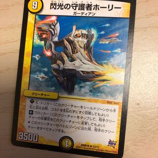 閃光の守護者ホーリー