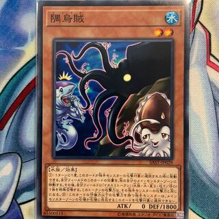 【N】隅烏賊 1枚 SAST-JP029