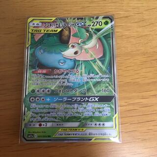 フシギバナ＆ツタージャGX RR