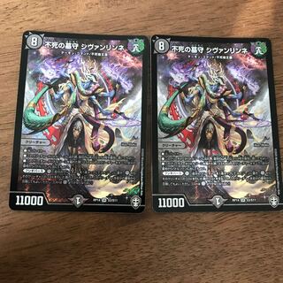 不死の墓守 シヴァンリンネ