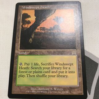 吹きさらしの荒野 英語版