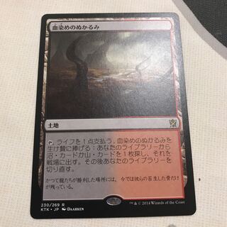 血染めのぬかるみ