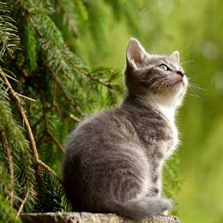 16日更新　ポケモンカード　美品HR、UR、SR、キラ買います！