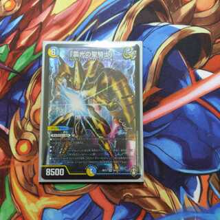 「雷光の聖騎士」