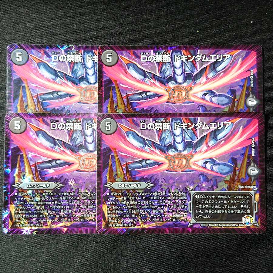 Dの禁断 ドキンダムエリア