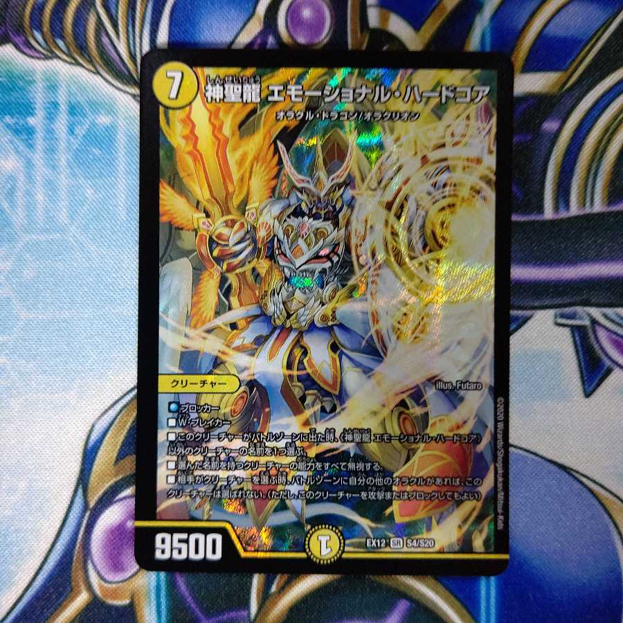 神聖龍 エモーショナル・ハードコア