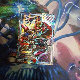 アカカゲ・レッドシャドウ