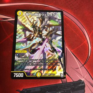 闘門の精霊ウェルキウス