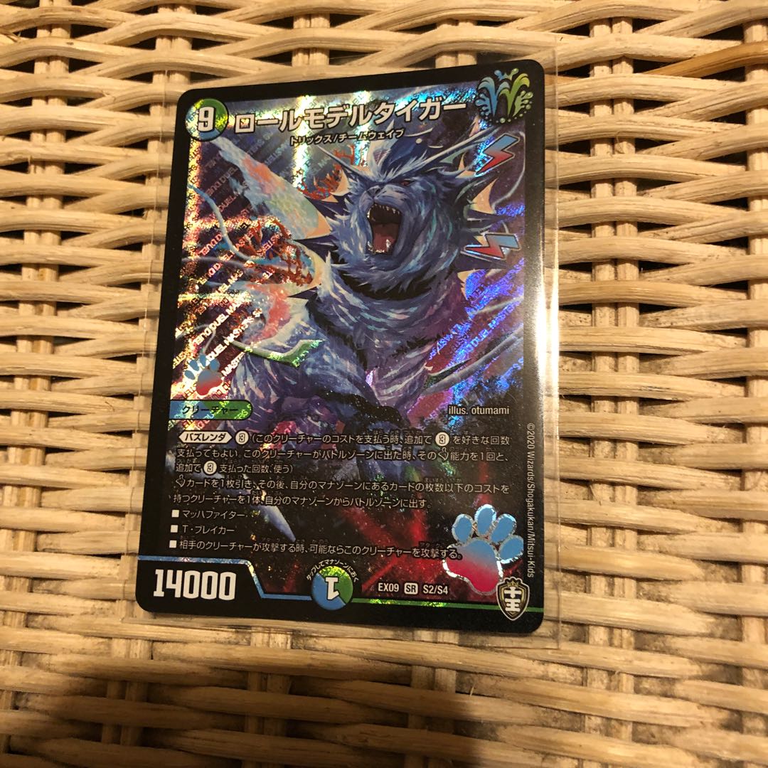 ロールモデルタイガー