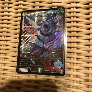 ロールモデルタイガー