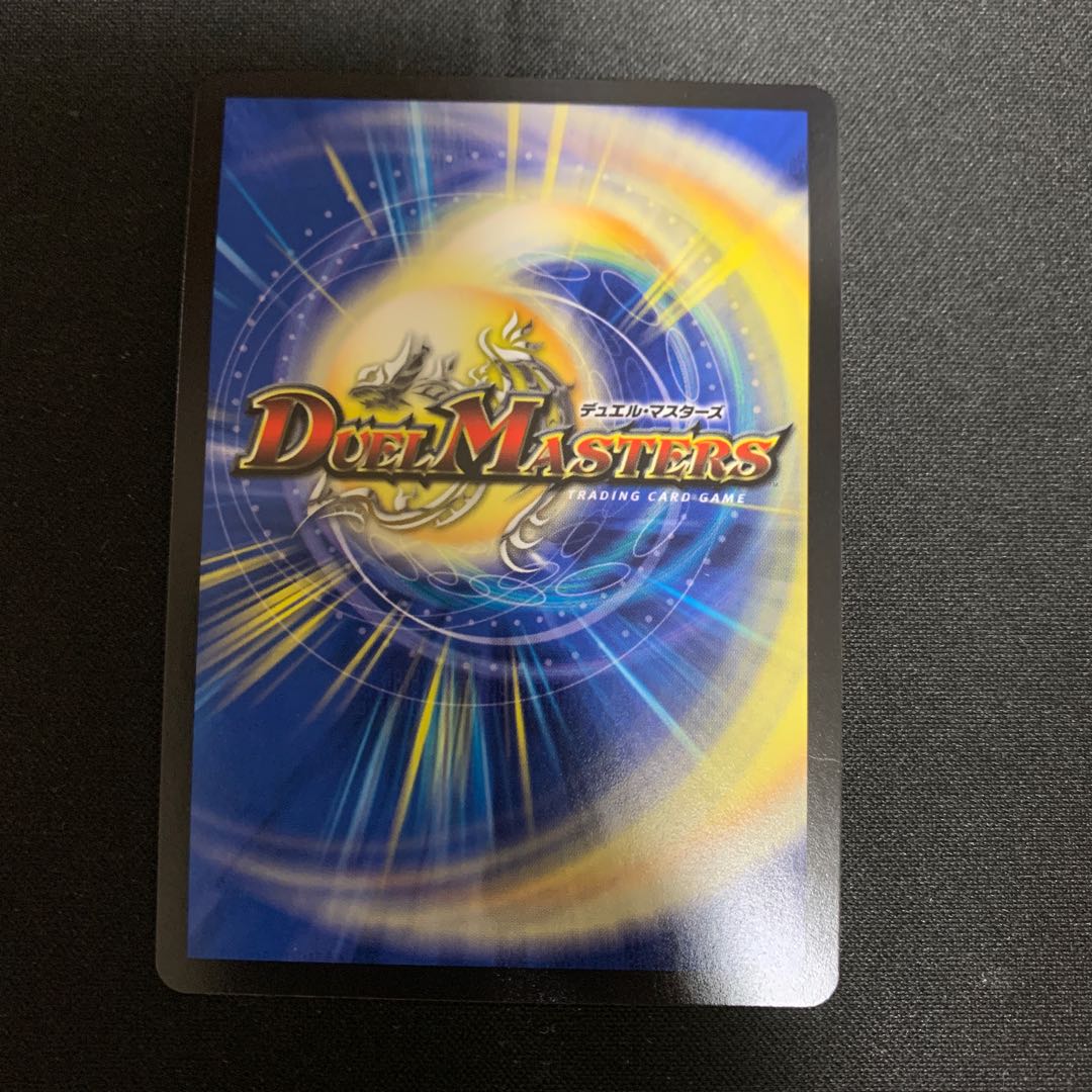 我怒の鎖 パンサーベア