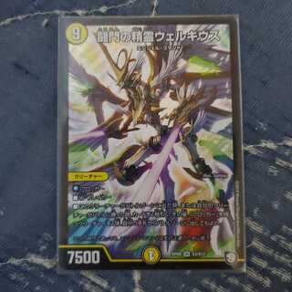 闘門の精霊ウェルキウス