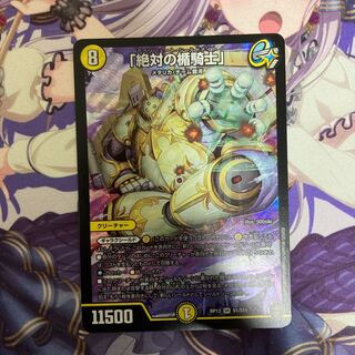 「絶対の楯騎士」