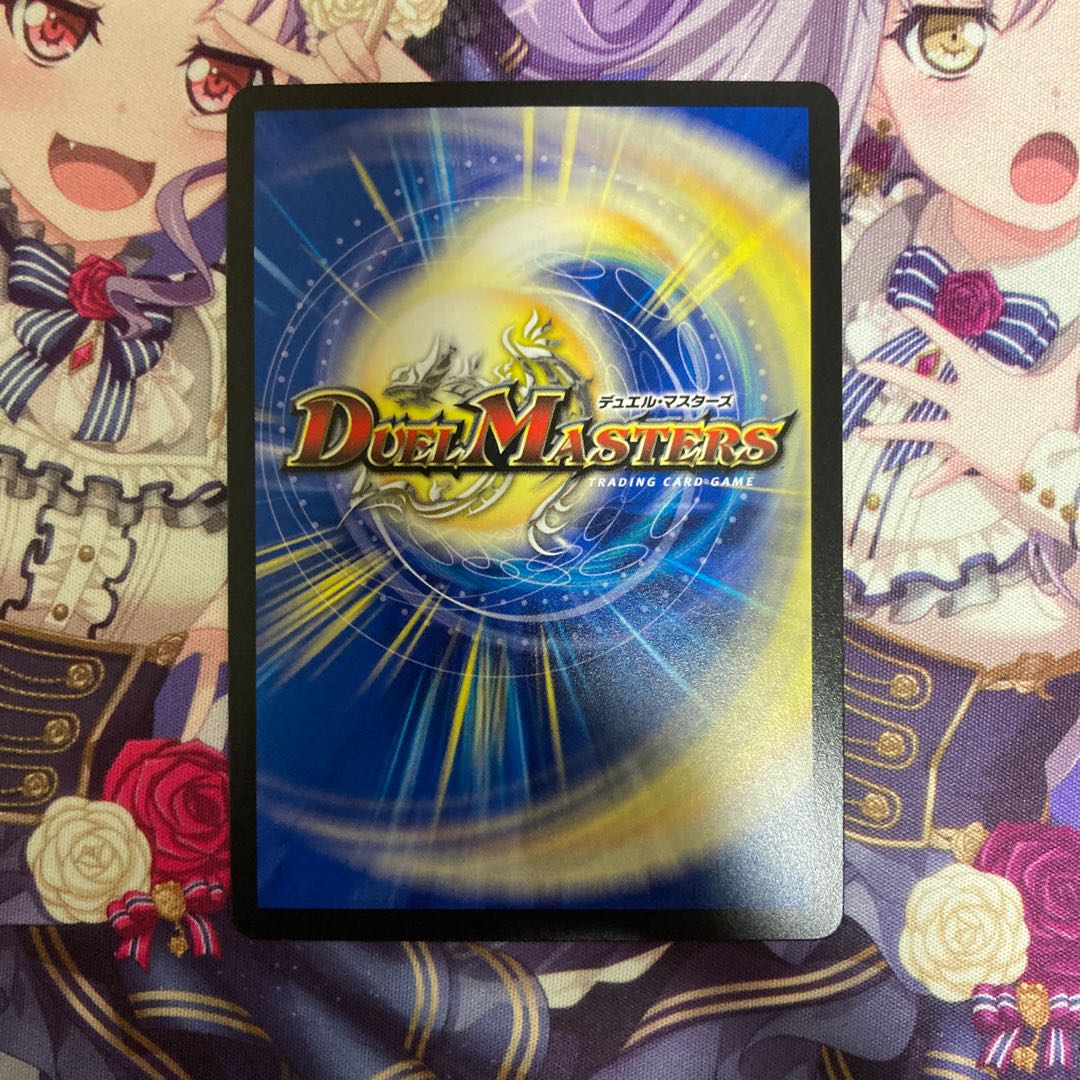 「絶対の楯騎士」