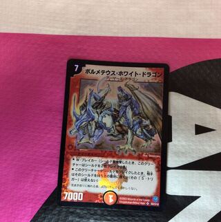 ボルメテウス・ホワイト・ドラゴン　初期