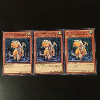 Armed Dragon Lv.3 3 pieces